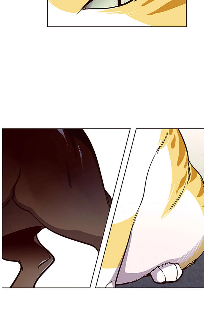 Eleceed - 36 - 65f0a5e186178.webp