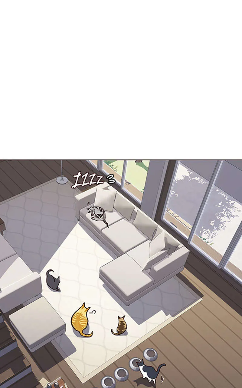 Eleceed - 37 - 65f0a5e829cc8.webp