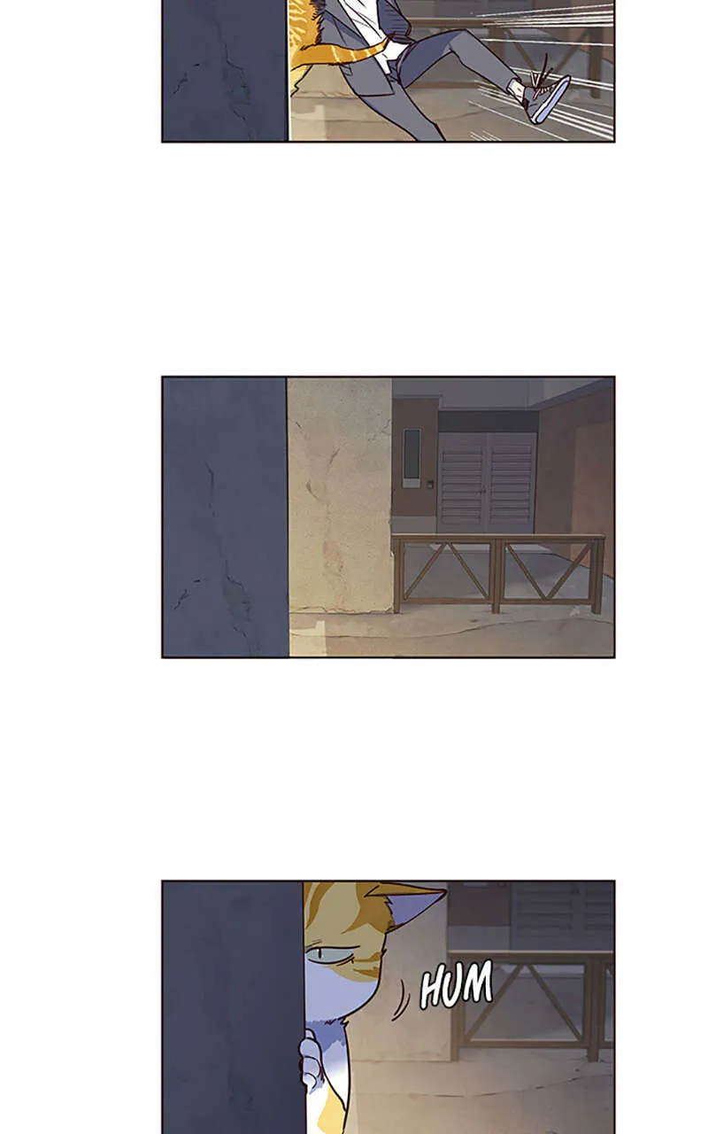 Eleceed - 5 - 65f0a67ec561c.webp