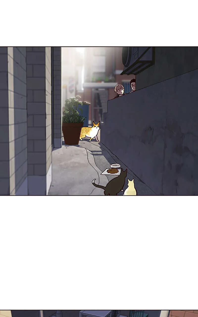 Eleceed - 55 - 65f0a6ca43bfc.webp