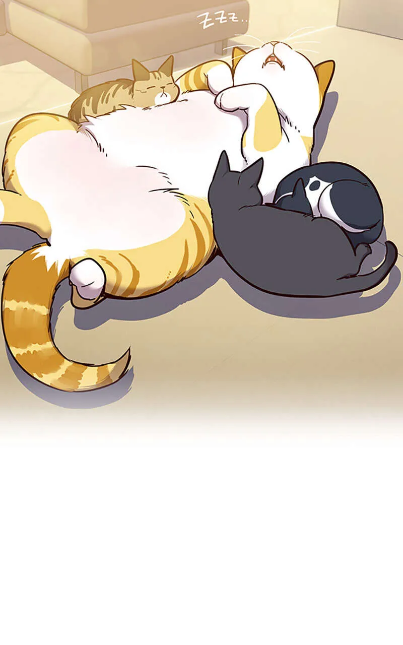 Eleceed - 56 - 65f0a6d3782ac.webp