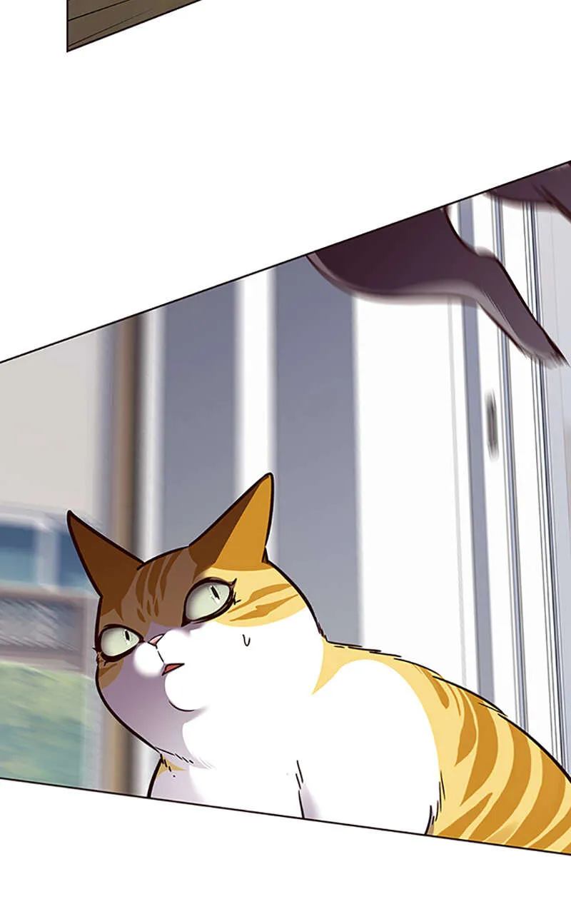 Eleceed - 58 - 65f0a6e87f862.webp