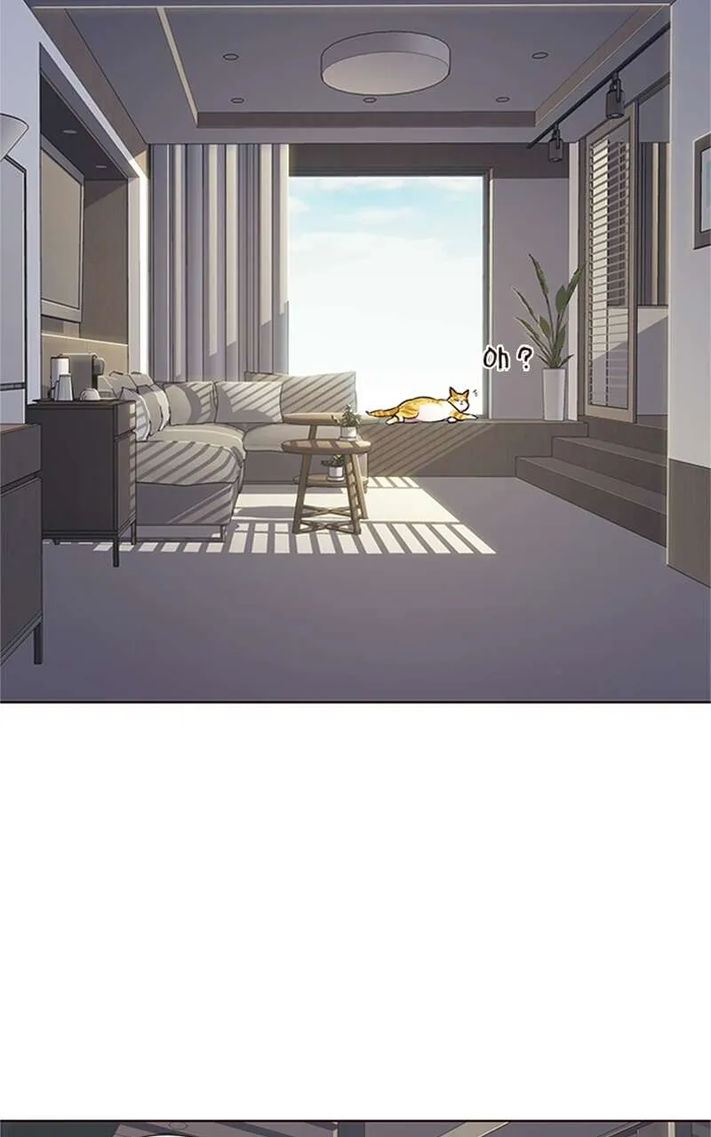 Eleceed - 70 - 65f0a784f412c.webp