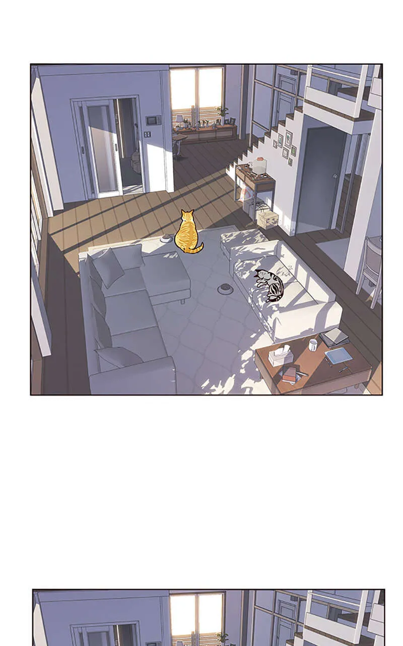 Eleceed - 9 - 65f0a86a2e9aa.webp