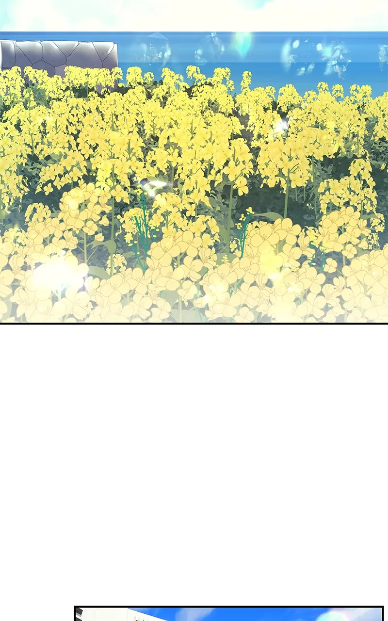 Endless Summer - 15 - 67e9782b1b1b5.webp