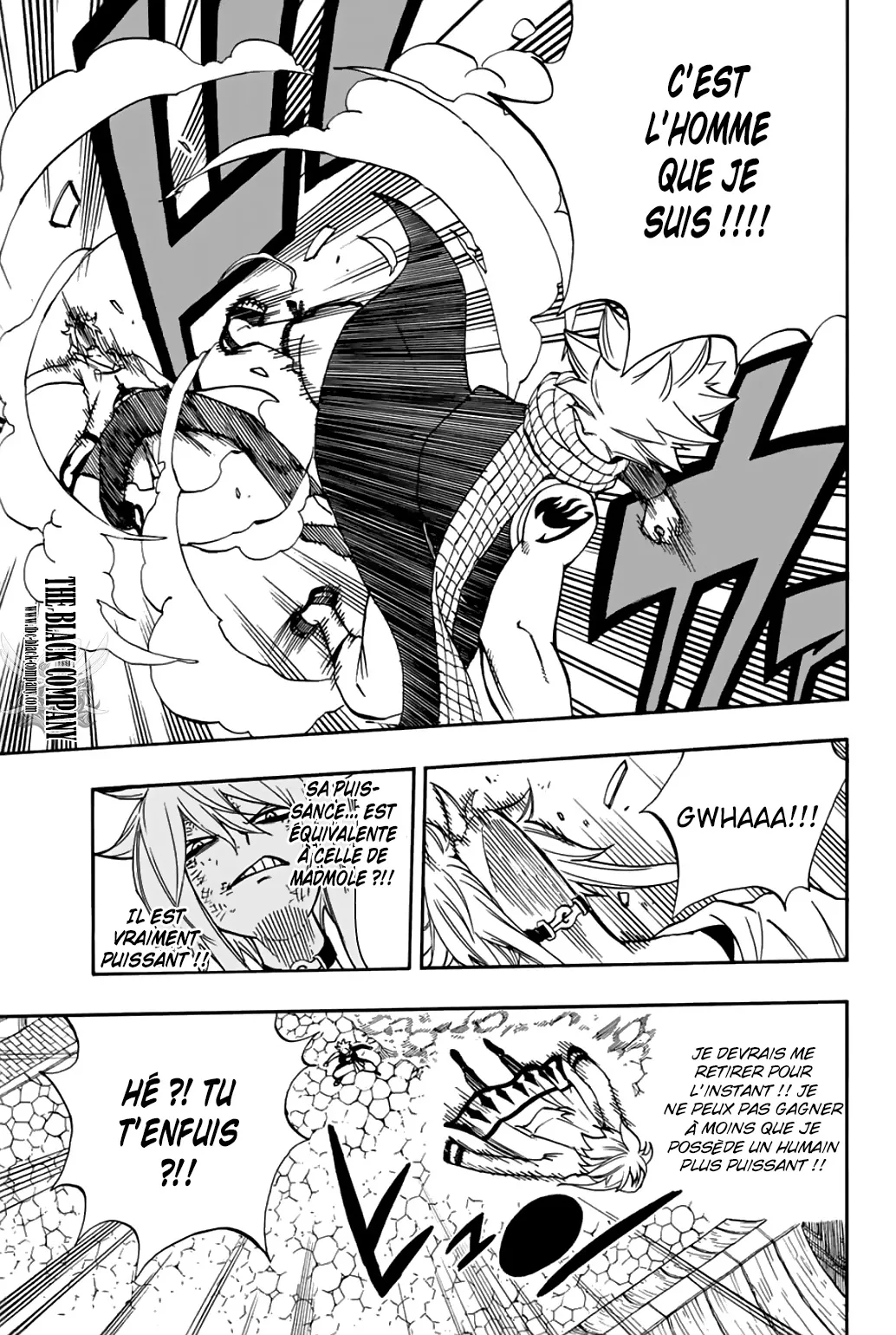 Fairy Tail 100 Years Quest - 38 - 655691ac004c6.webp