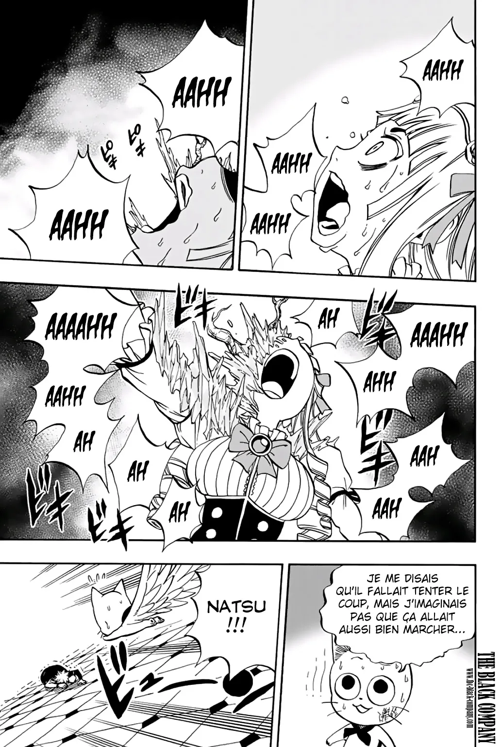 Fairy Tail 100 Years Quest - 46 - 655691ea1b548.webp