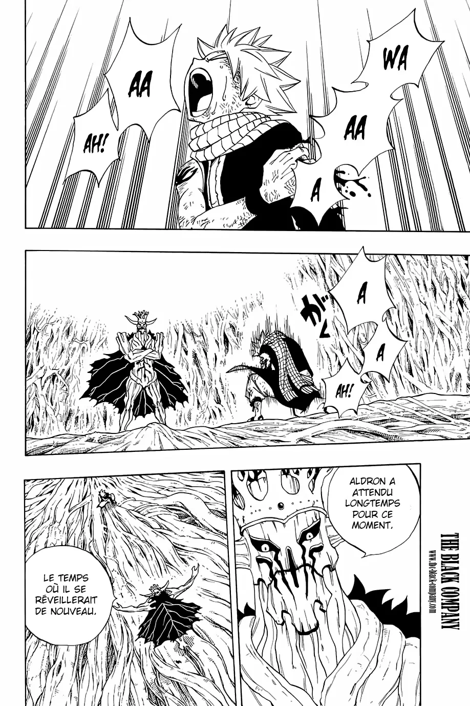 Fairy Tail 100 Years Quest - 55 - 655692295677b.webp