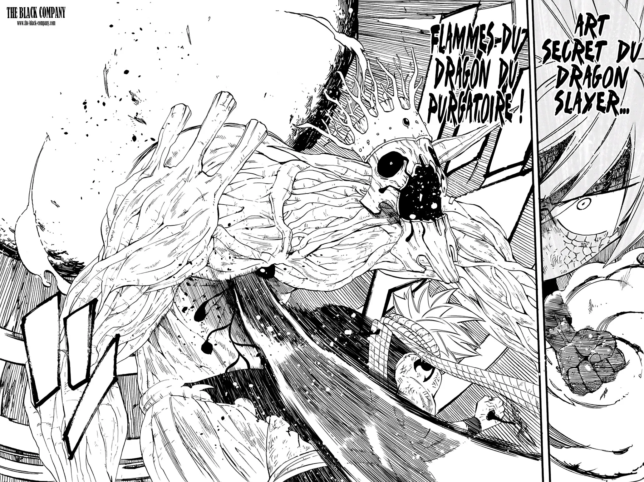 Fairy Tail 100 Years Quest - 62 - 65569266315b4.webp