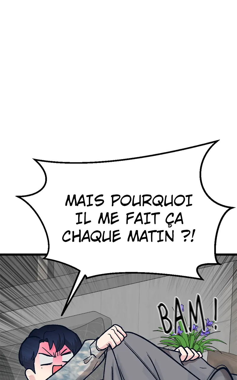 Fanatidole - 3 - 655e7b820702b.webp