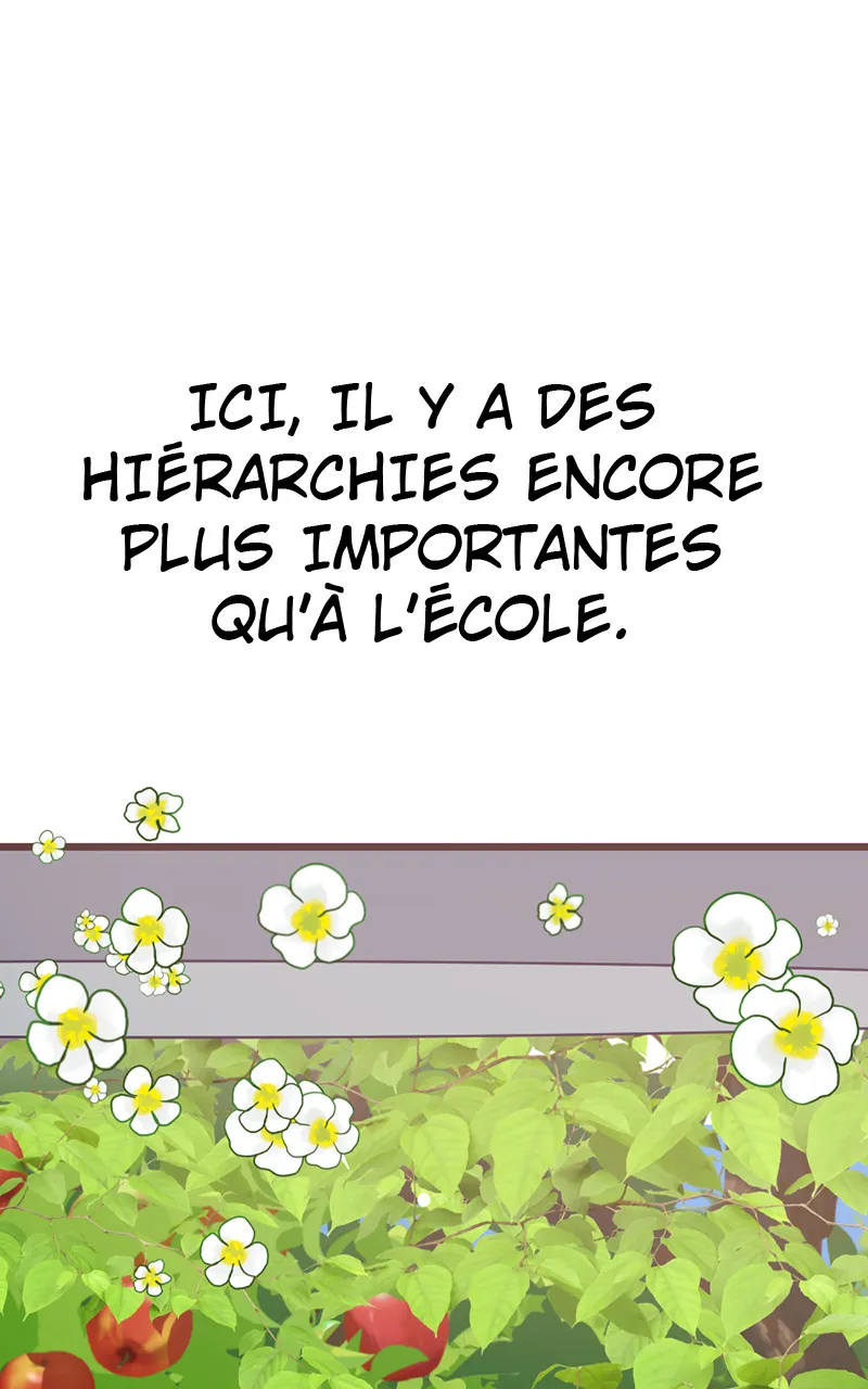 Fanatidole - 5 - 655e7bb2d12e6.webp