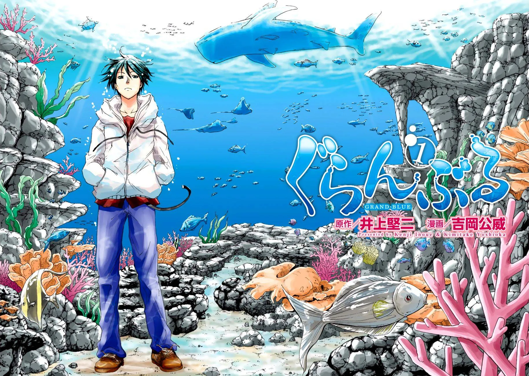 Grand Blue - 1 - 67d0d109e4953.webp
