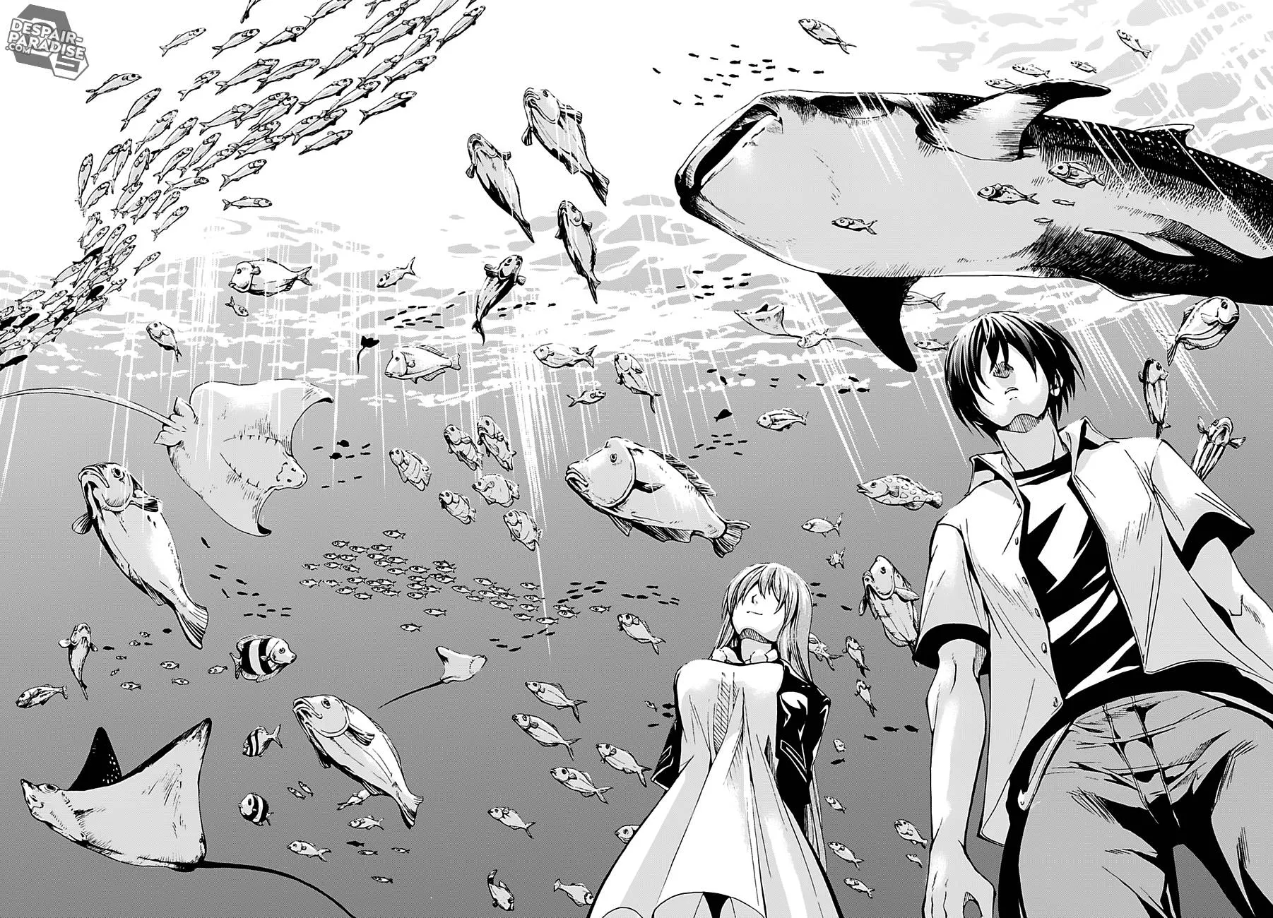 Grand Blue - 4 - 67d0d2b4615ee.webp