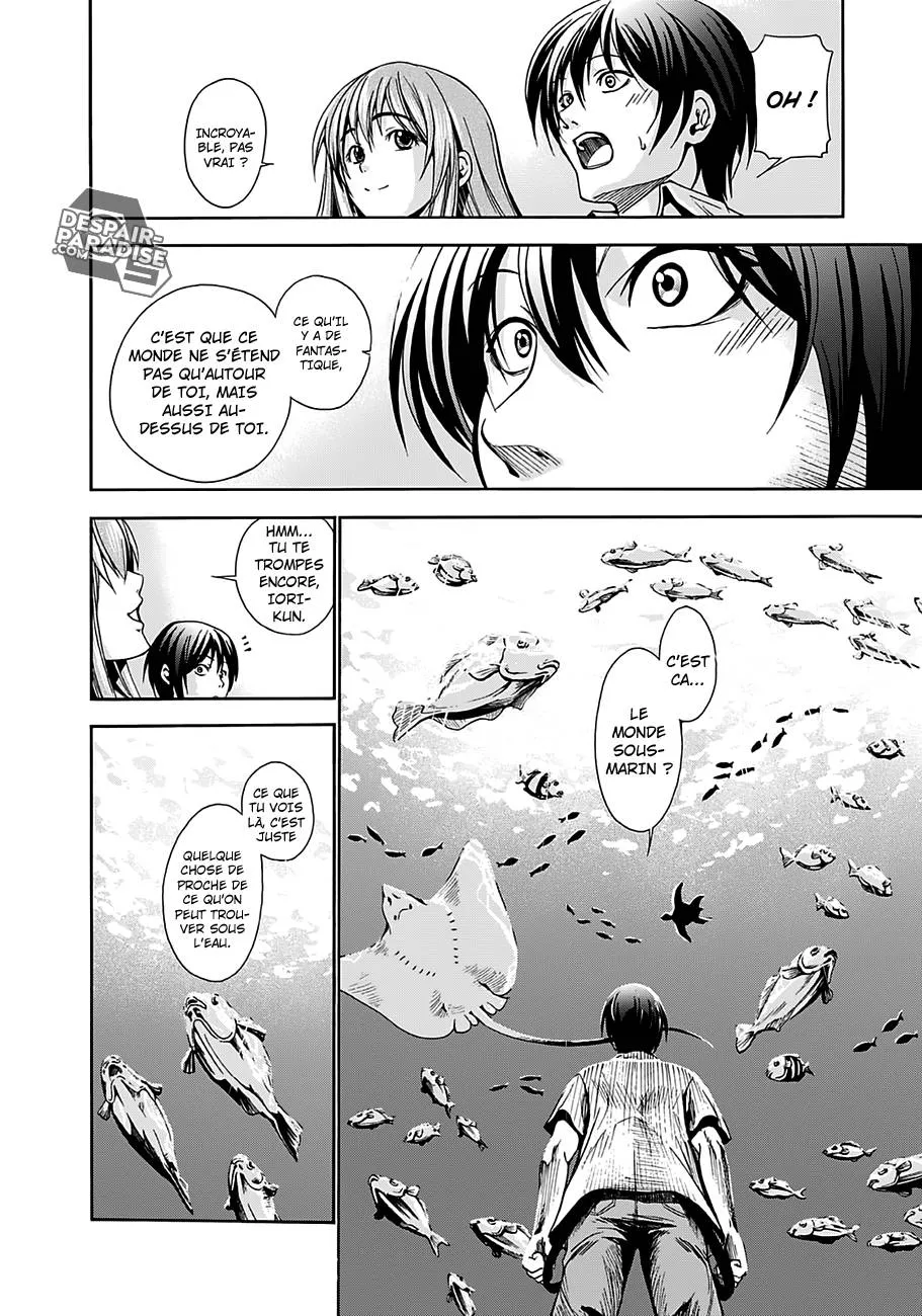 Grand Blue - 4 - 67d0d2b494ff6.webp