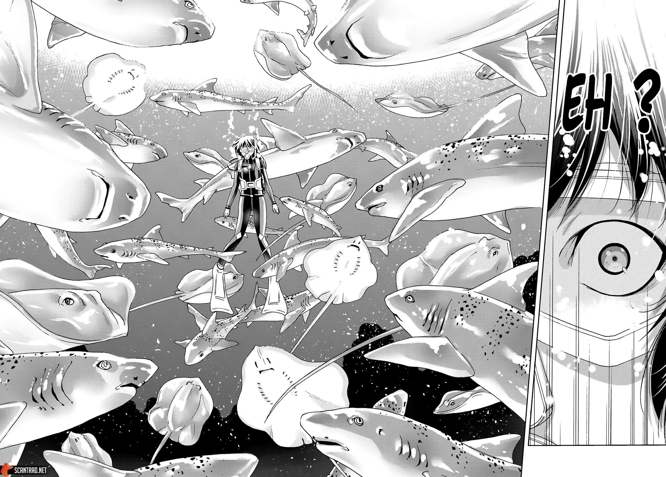 Grand Blue - 81 - 67d0d4e78c64e.webp
