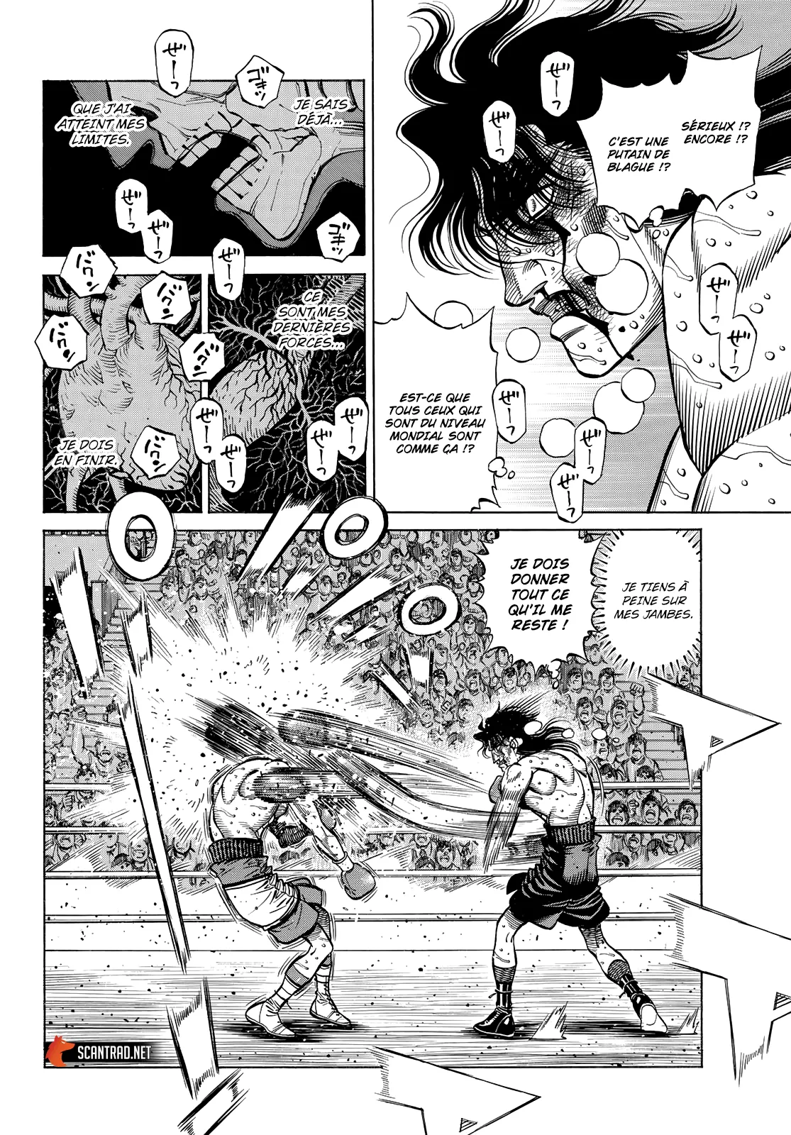 Hajime No Ippo - 1374 - 65581703a2a1b.webp