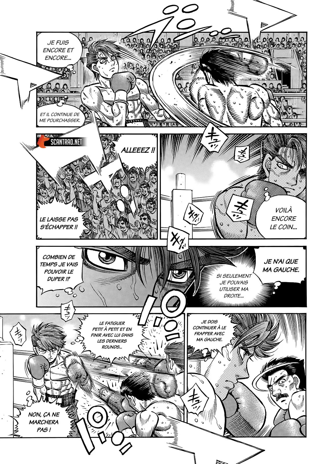 Hajime No Ippo - 1391 - 655817513d9b1.webp