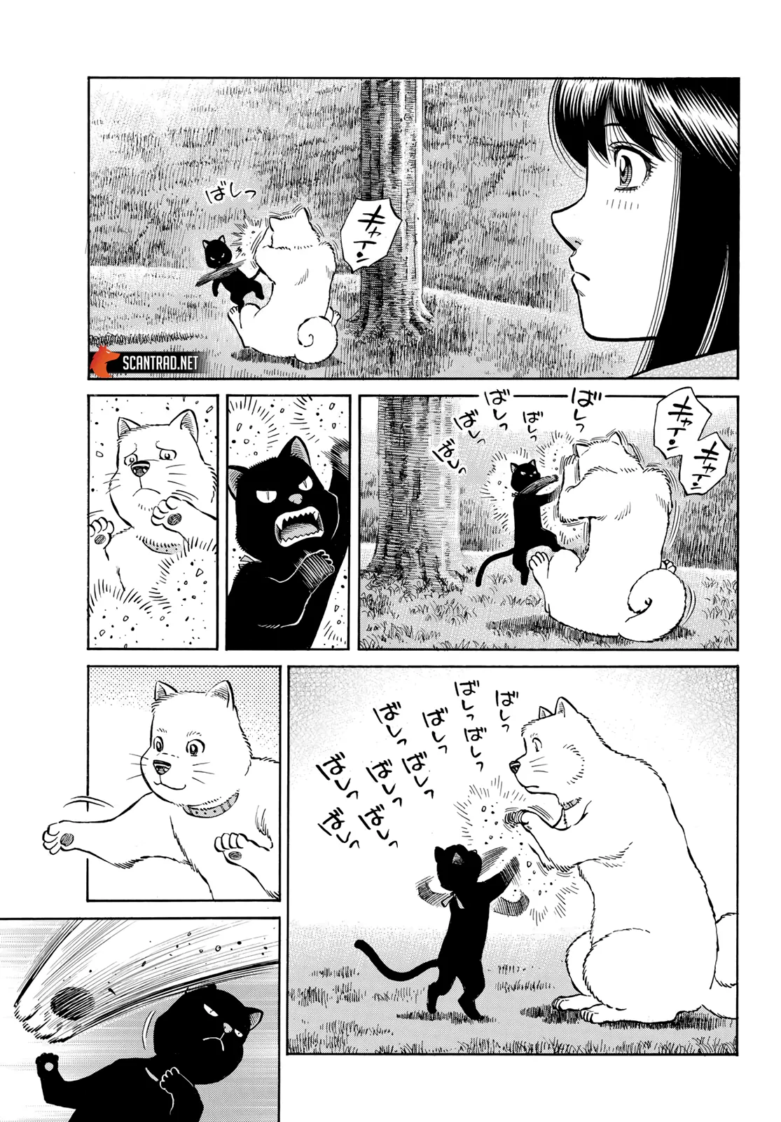 Hajime No Ippo - 1412 - 6558dfa46d659.webp