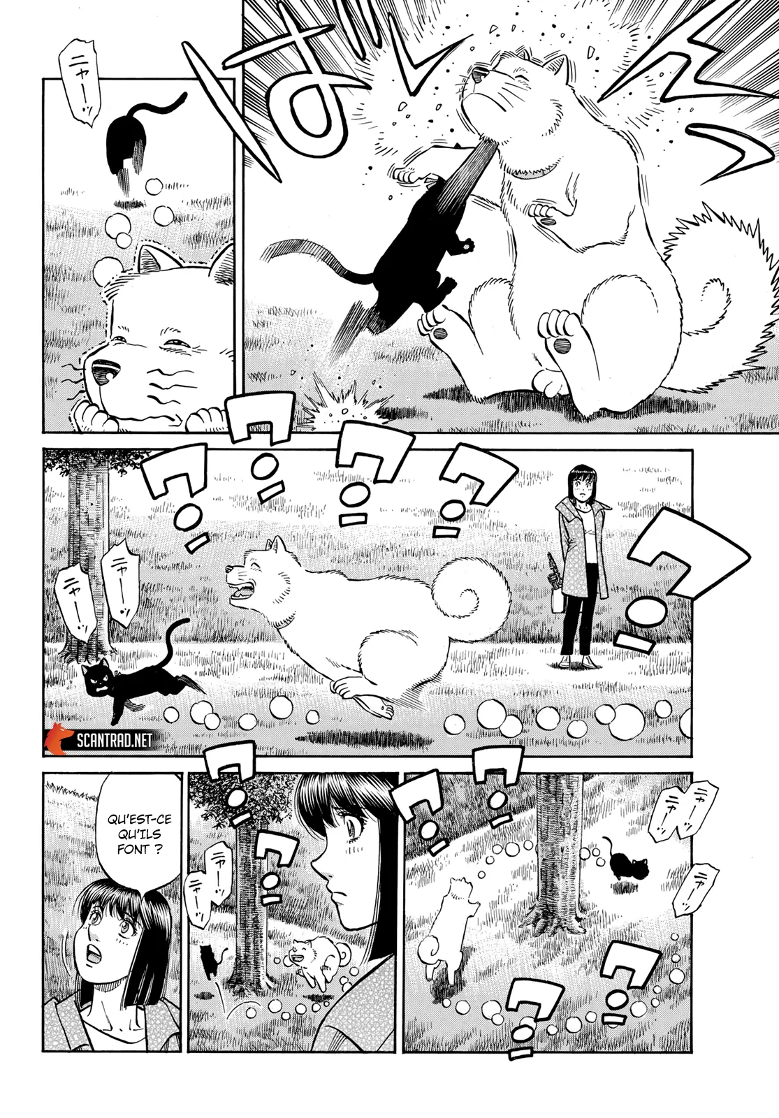 Hajime No Ippo - 1412 - 6558dfa4c65b5.webp