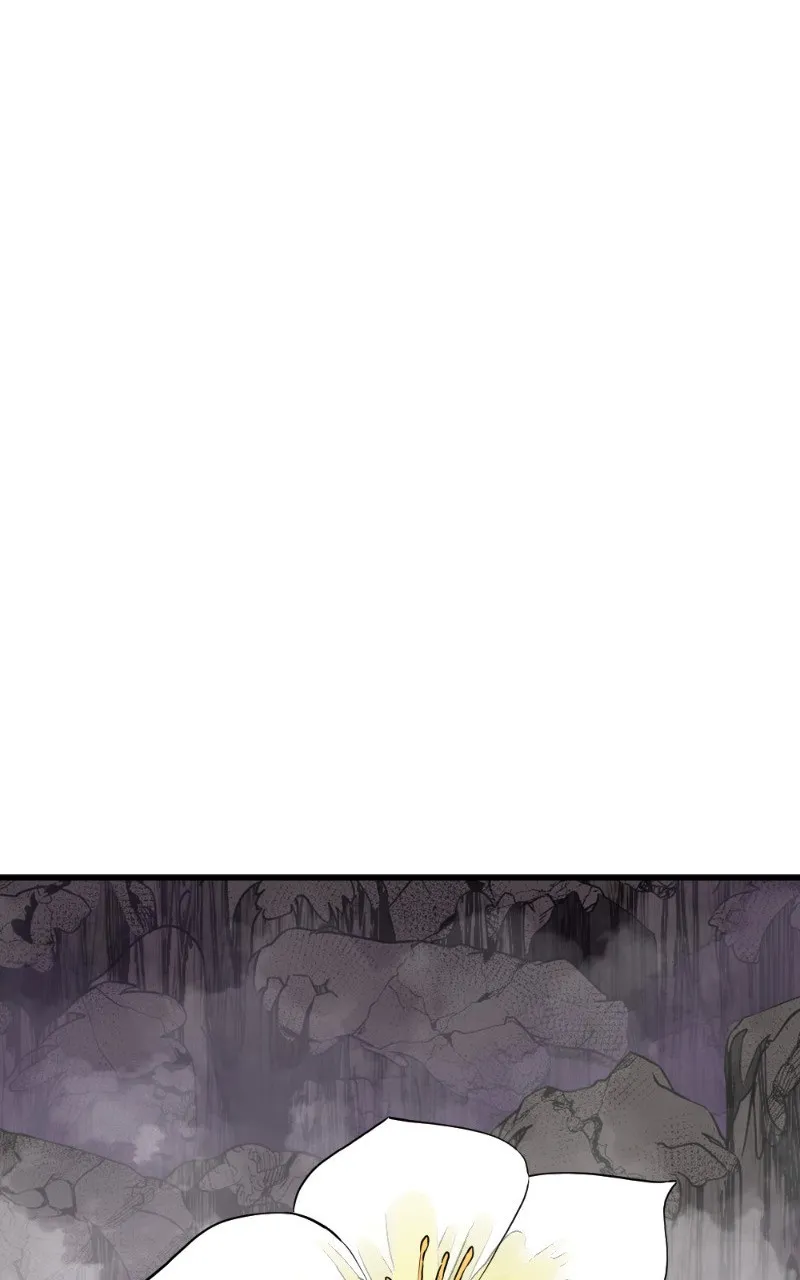 Hero Killer - 163 - 67e93a7b4546d.webp
