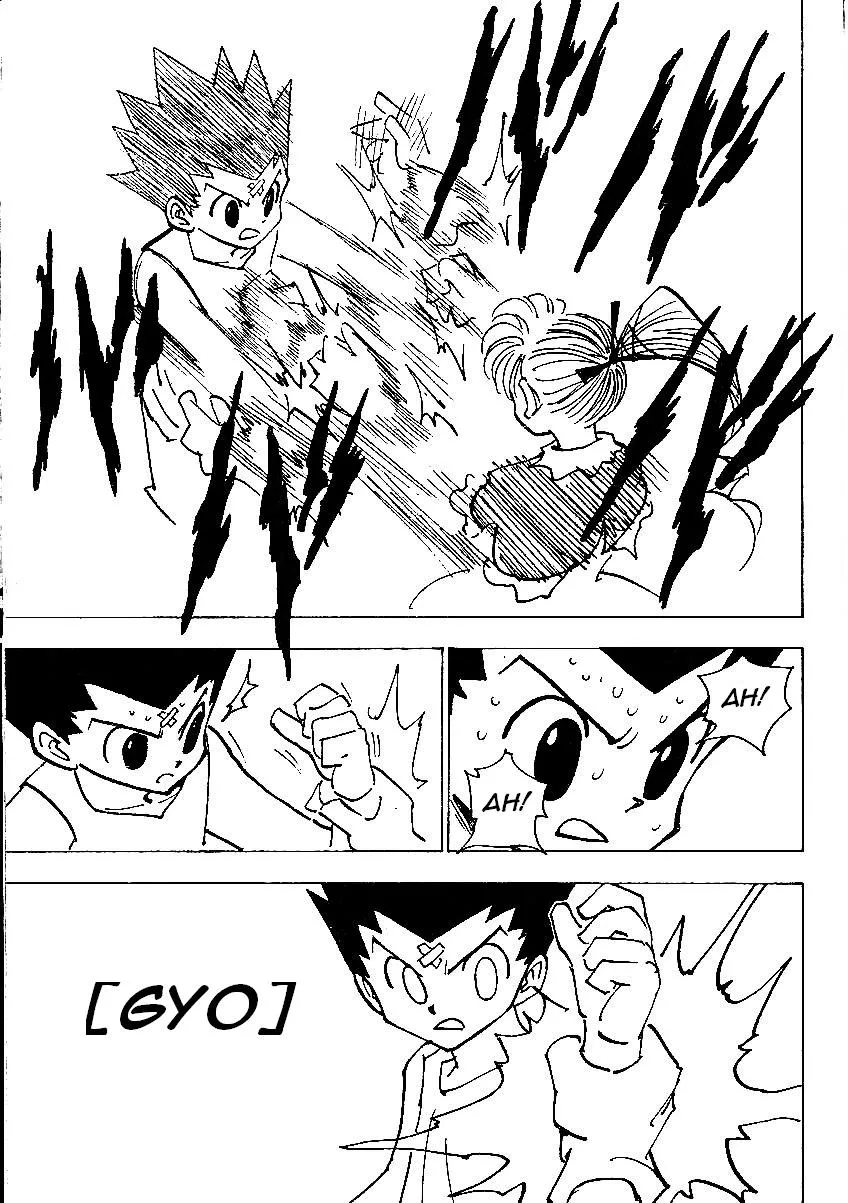 Hunter X Hunter - 17 - 65db970c4cd0e.webp