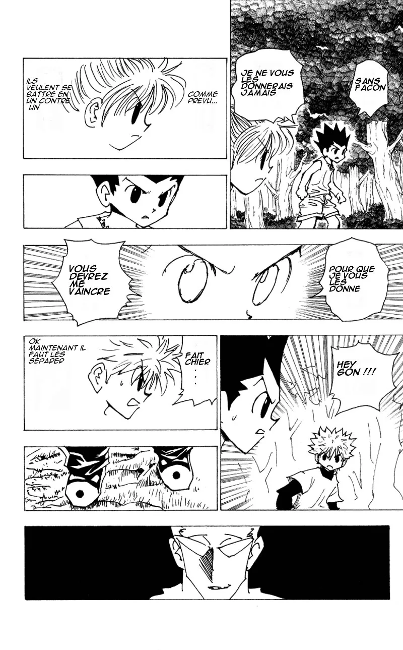 Hunter X Hunter - 17 - 65db97158e038.webp