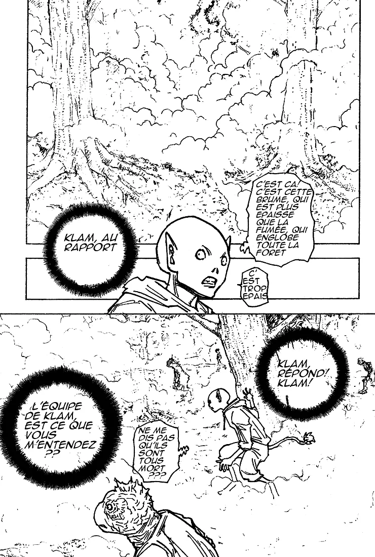 Hunter X Hunter - 205 - 65db9782e18c6.webp