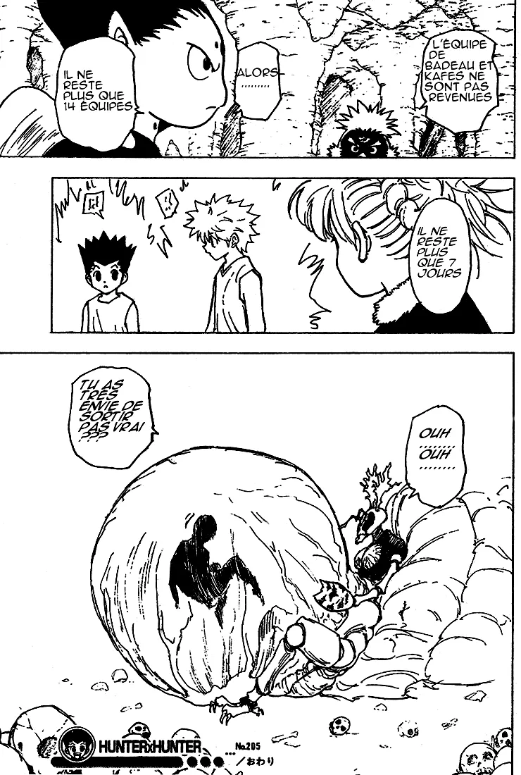 Hunter X Hunter - 205 - 65db978387ea3.webp