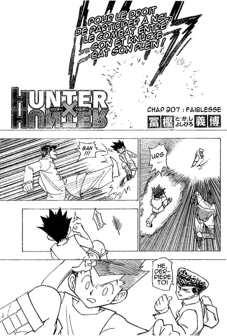 Hunter X Hunter - 207 - 65db9785c4cb7.webp