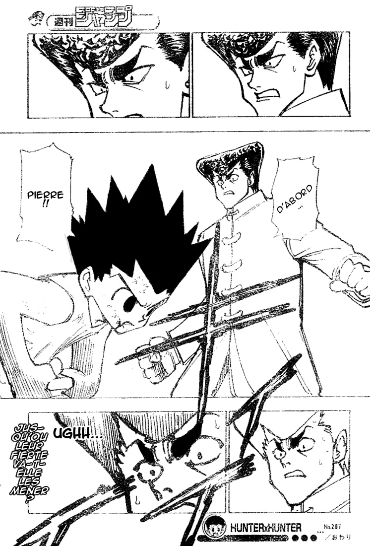 Hunter X Hunter - 207 - 65db9787db954.webp