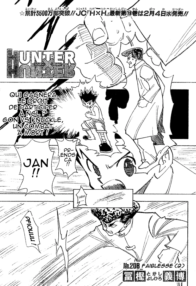 Hunter X Hunter - 208 - 65db97881ad74.webp