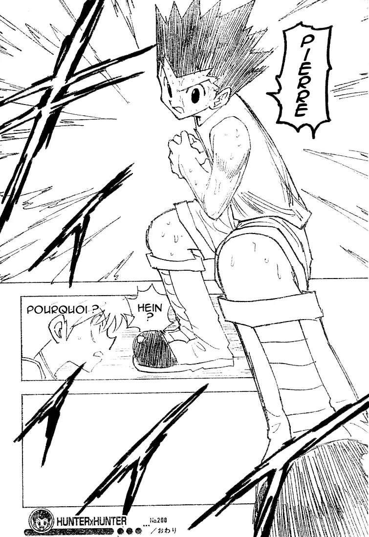 Hunter X Hunter - 208 - 65db978a044d1.webp