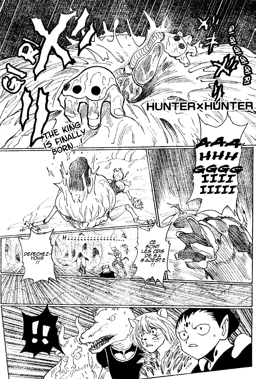 Hunter X Hunter - 213 - 65db97945e937.webp