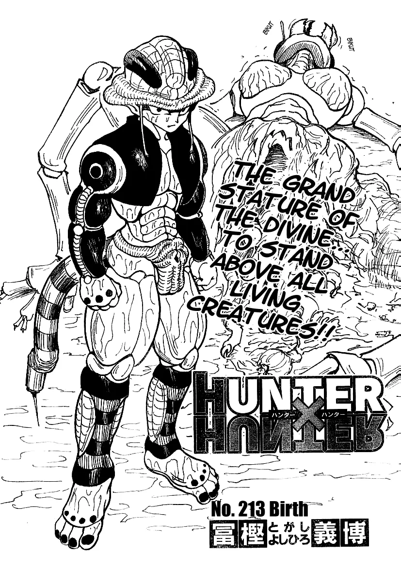 Hunter X Hunter - 213 - 65db97948d6b3.webp