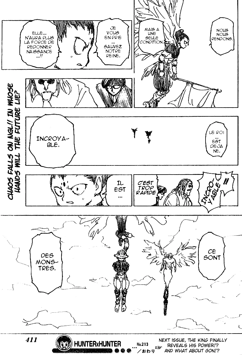 Hunter X Hunter - 213 - 65db979760bb6.webp