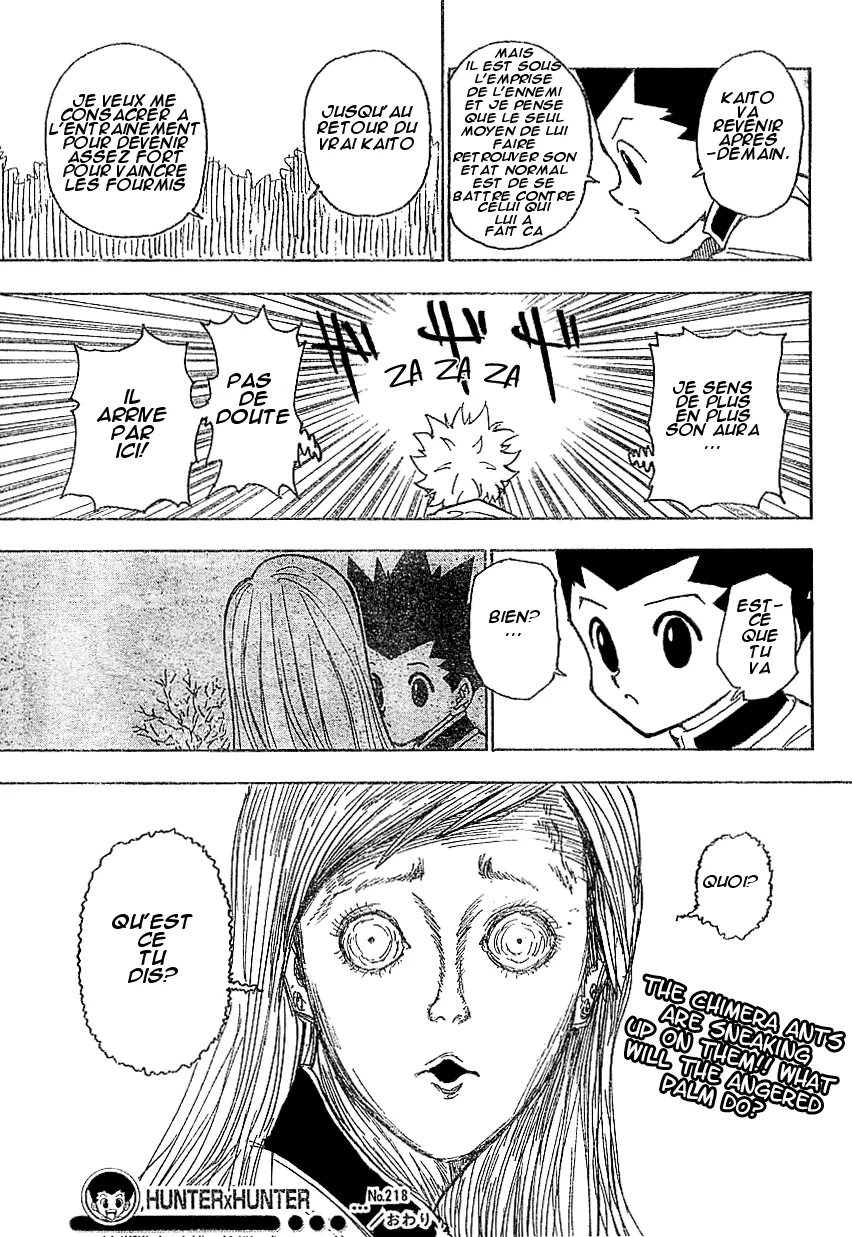Hunter X Hunter - 218 - 65db97a5c74cf.webp