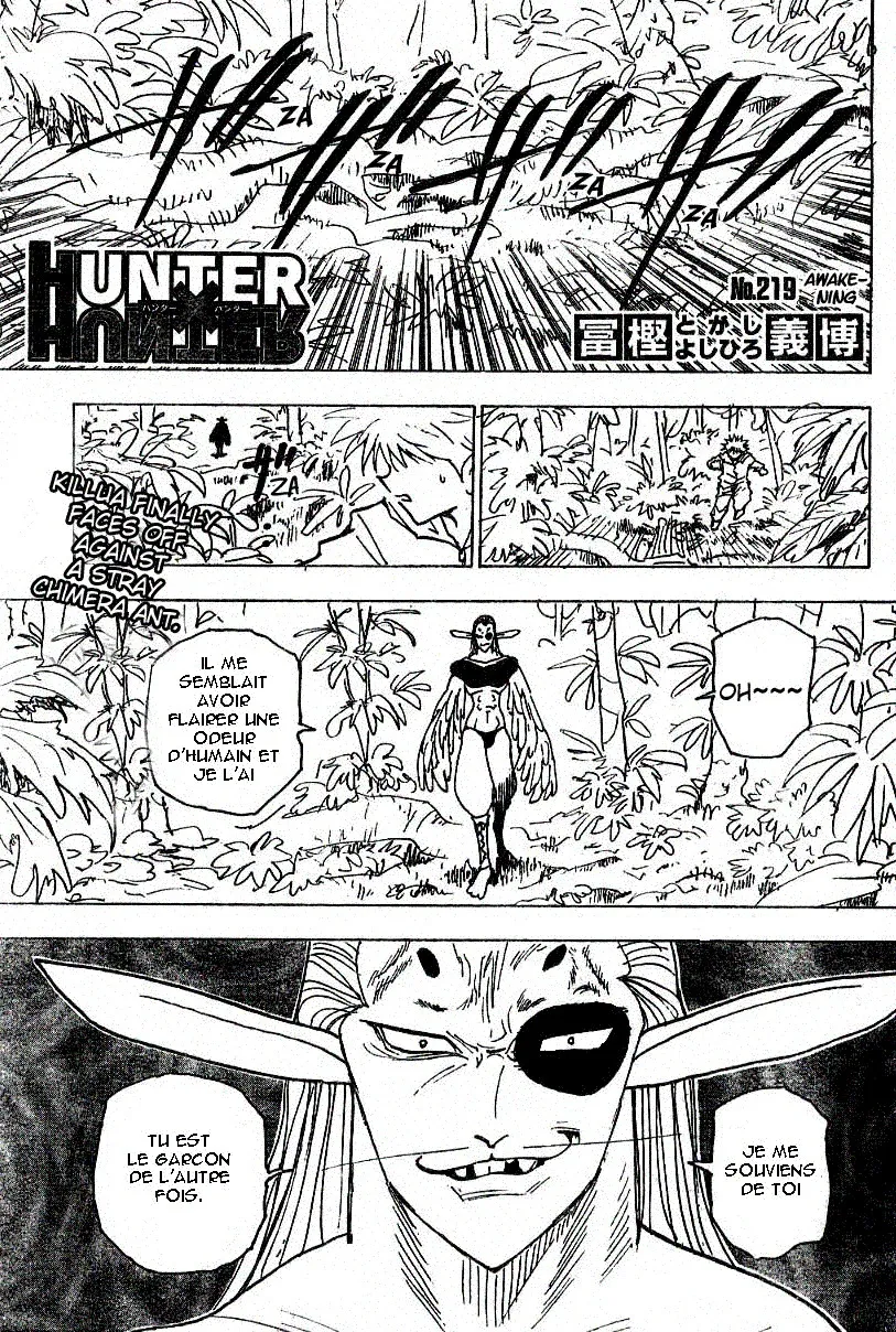 Hunter X Hunter - 219 - 65db97a610664.webp