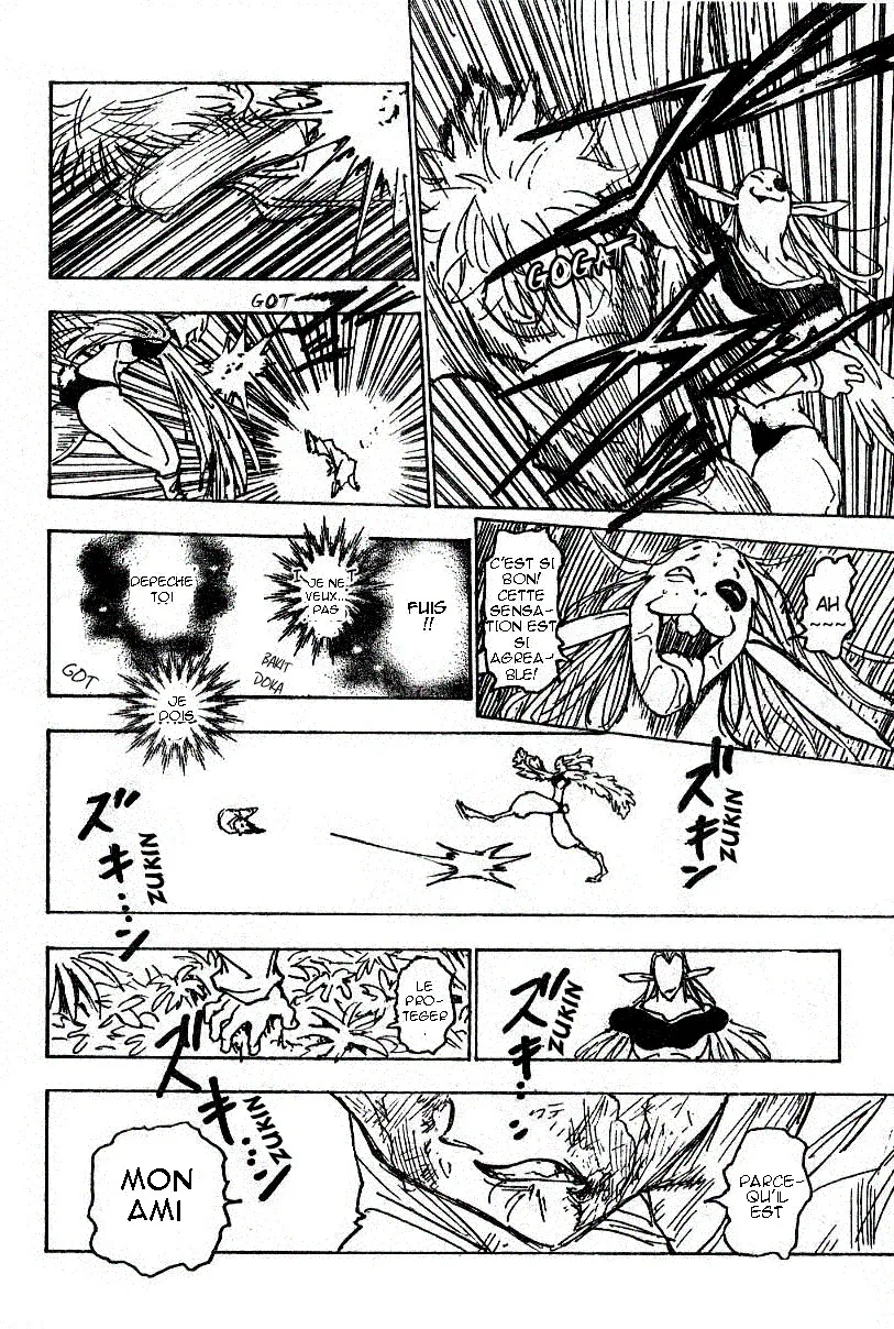 Hunter X Hunter - 219 - 65db97a7470a2.webp
