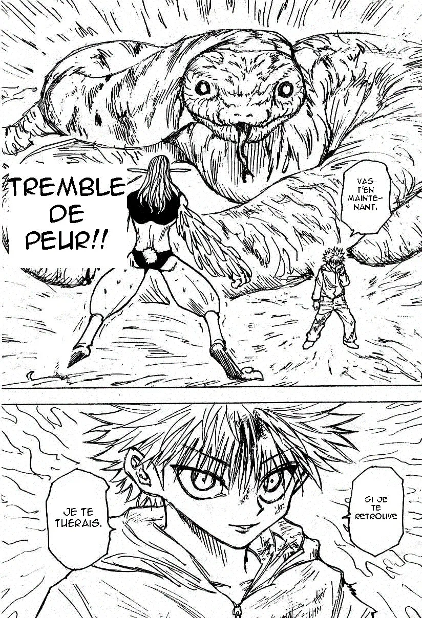 Hunter X Hunter - 219 - 65db97a8da485.webp