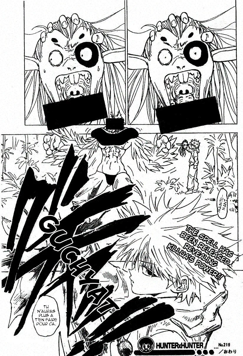 Hunter X Hunter - 219 - 65db97a959d9f.webp