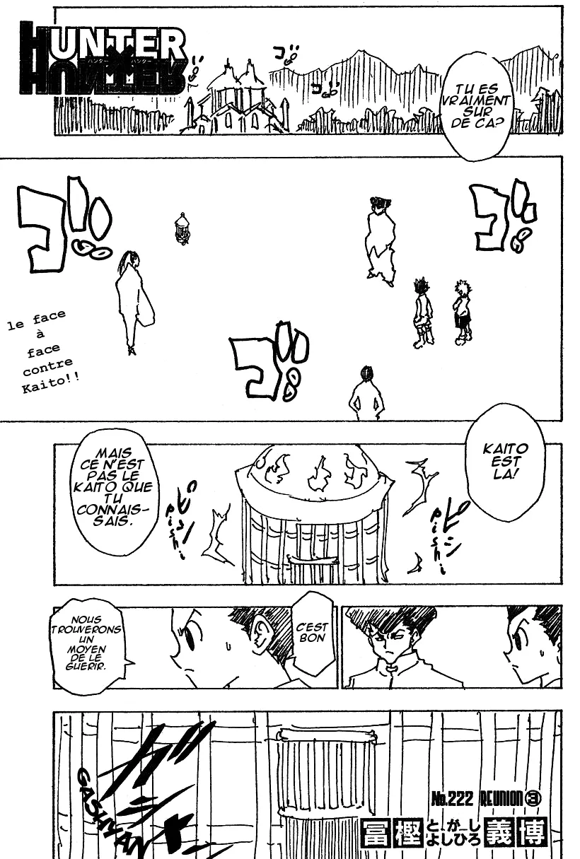 Hunter X Hunter - 222 - 65db97afc3ab5.webp