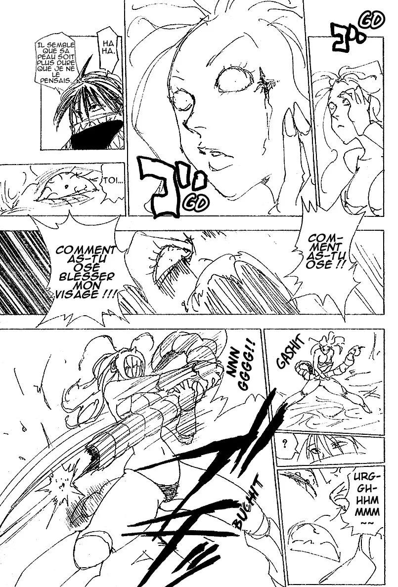Hunter X Hunter - 228 - 65db97c1541c9.webp