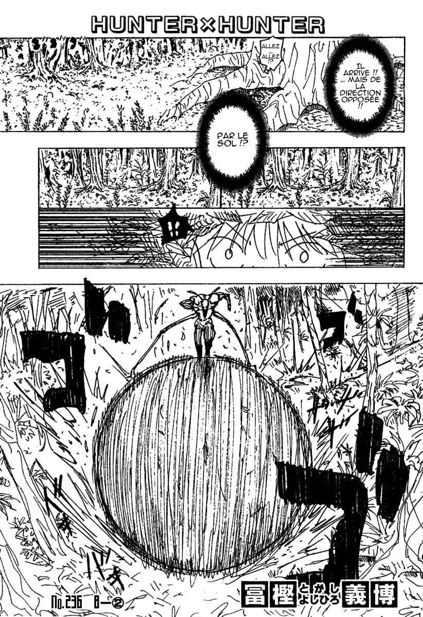 Hunter X Hunter - 236 - 65db97d617fc8.webp