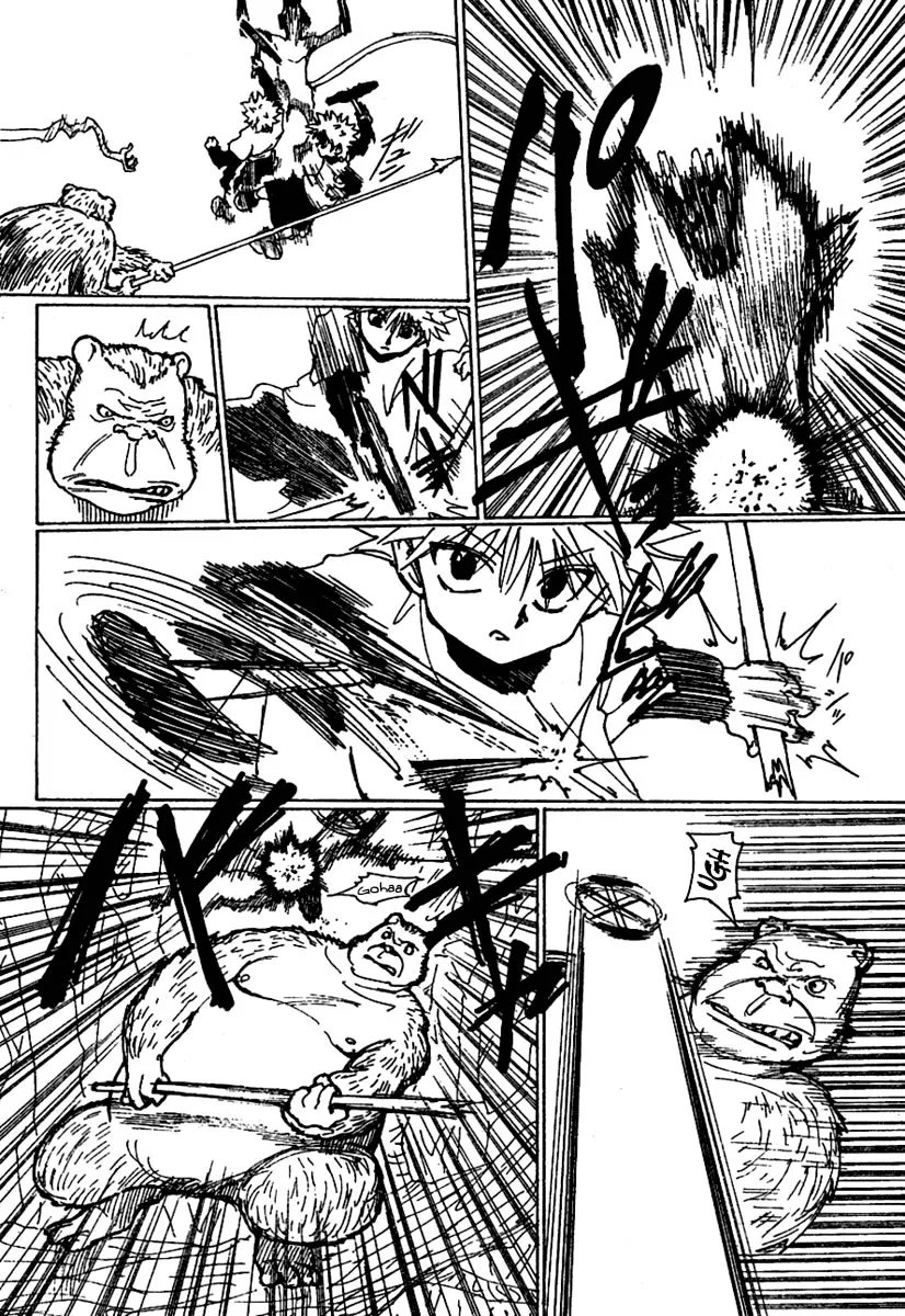 Hunter X Hunter - 236 - 65db97d742c61.webp