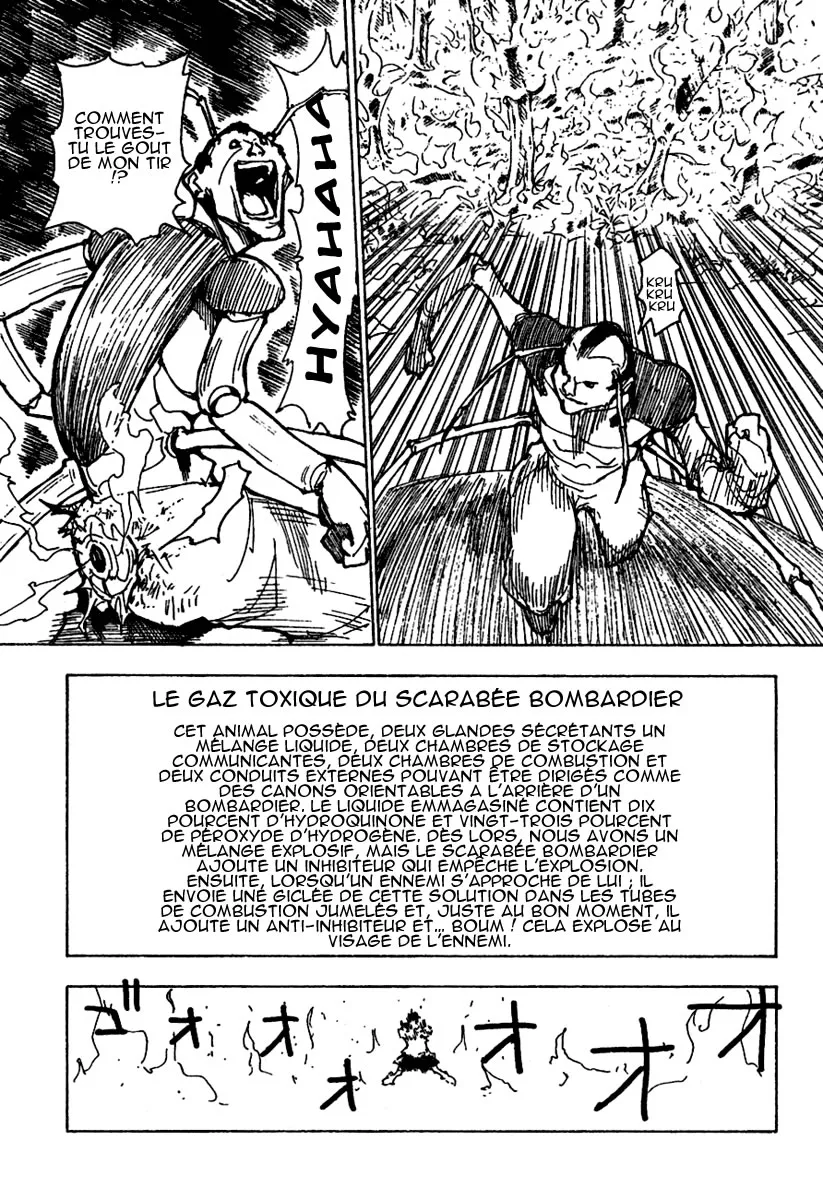 Hunter X Hunter - 236 - 65db97d86d46a.webp