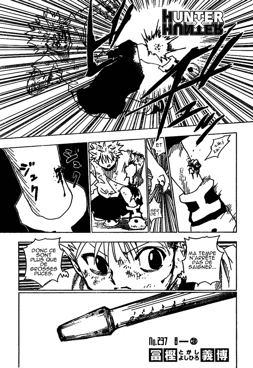 Hunter X Hunter - 237 - 65db97d96f2e7.webp