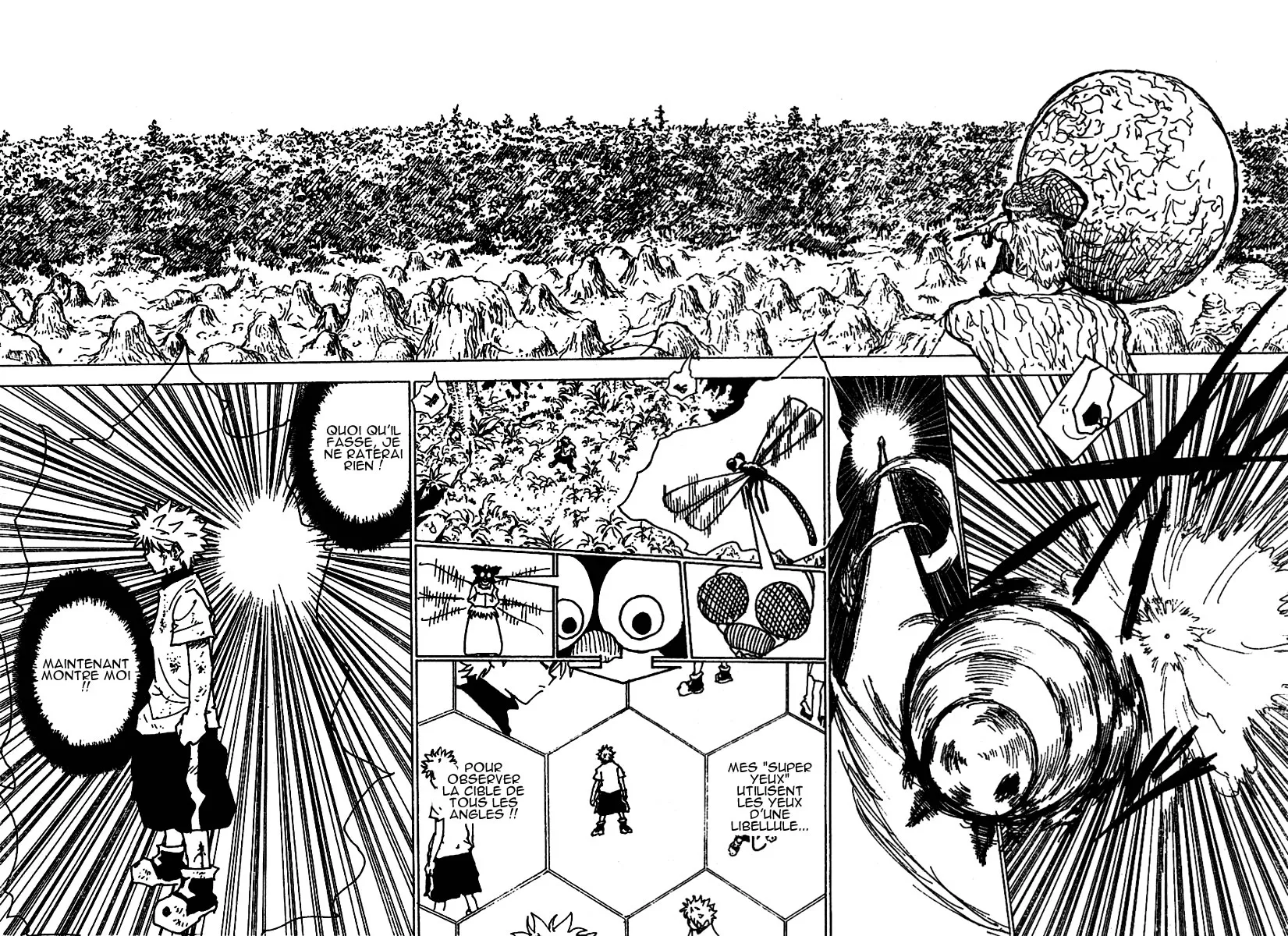 Hunter X Hunter - 237 - 65db97dab89fb.webp