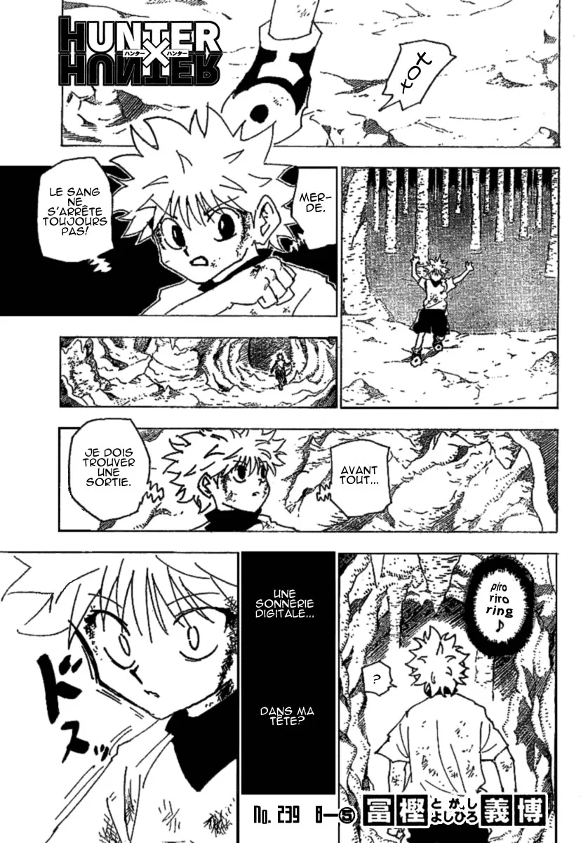 Hunter X Hunter - 239 - 65db97dfc0b9f.webp