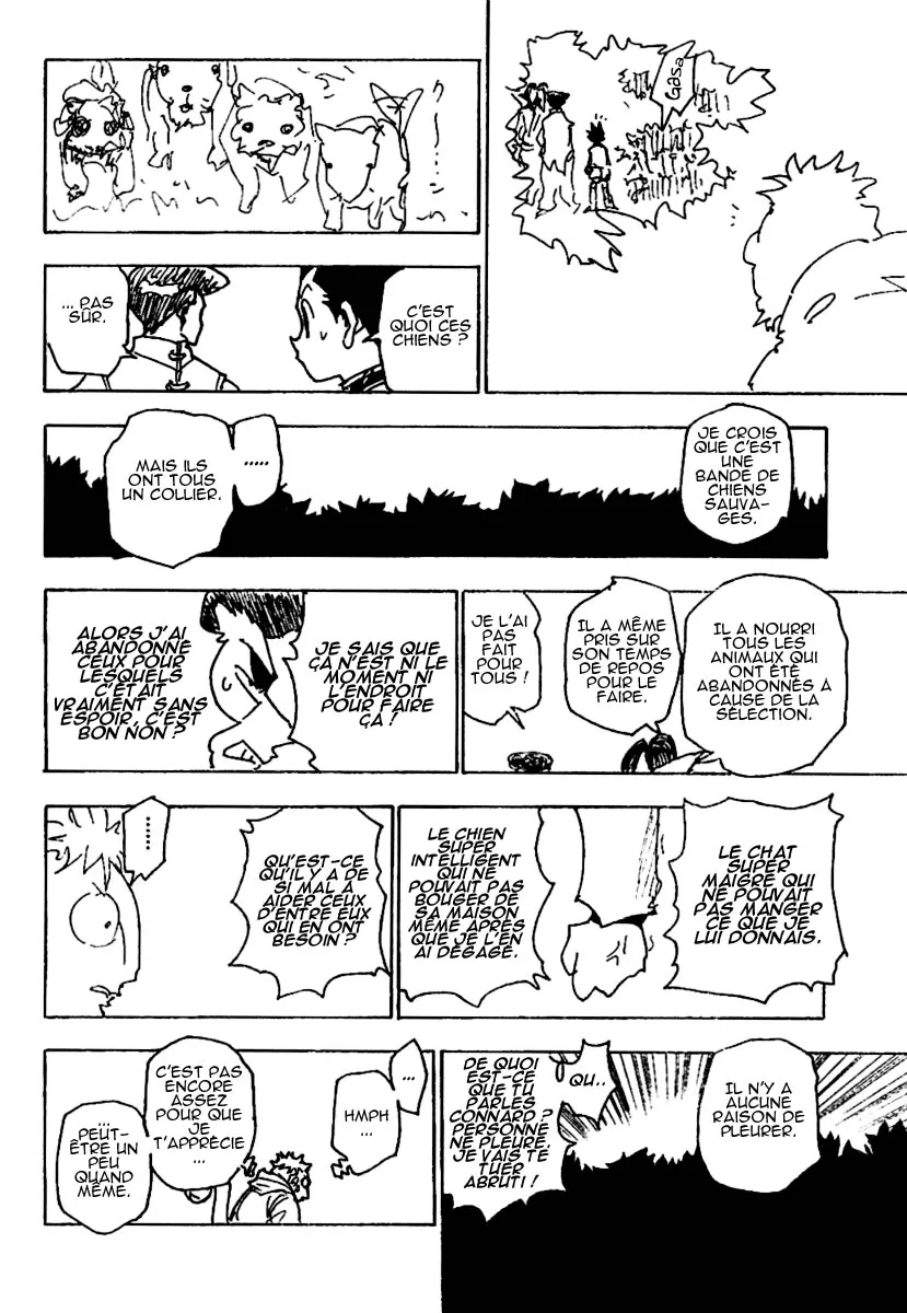 Hunter X Hunter - 244 - 65db97eecfd56.webp