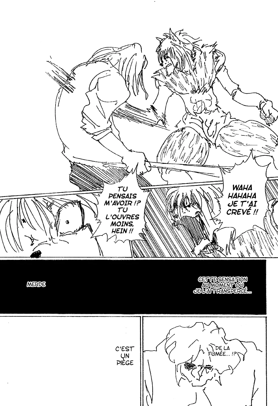 Hunter X Hunter - 248 - 65db97f8df883.webp